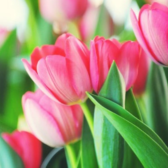 Meet your Posher - Picture 3 of 10